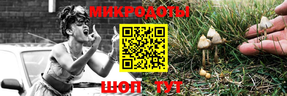 Псилоцибиновые грибы мухоморы Губкин