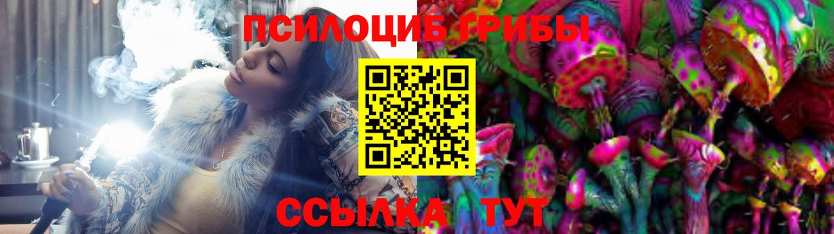 Губкин  Псилоцибиновые грибы Magic Shrooms  продажа наркотиков  Псилоцибиновые грибы ЛСД  Вход с VPN 